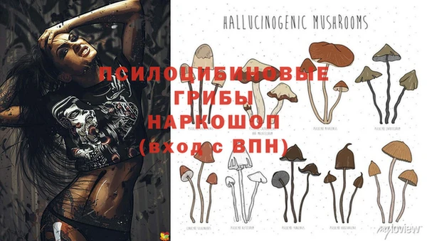 хмурый Баксан