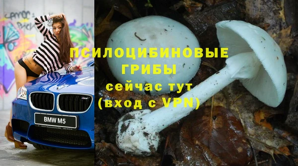 прущие крисы Балабаново