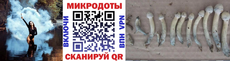 Псилоцибиновые грибы мицелий  Новый Оскол 